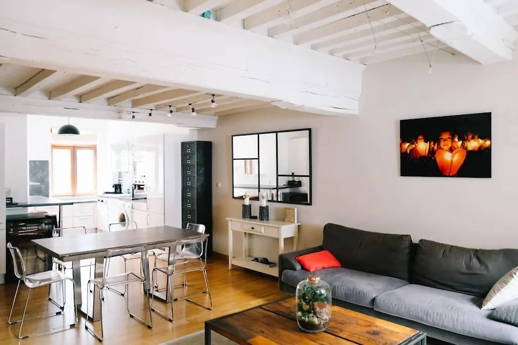 Magnifique Duplex De 90M² Au Coeur De Lille Apartment 0*,  France